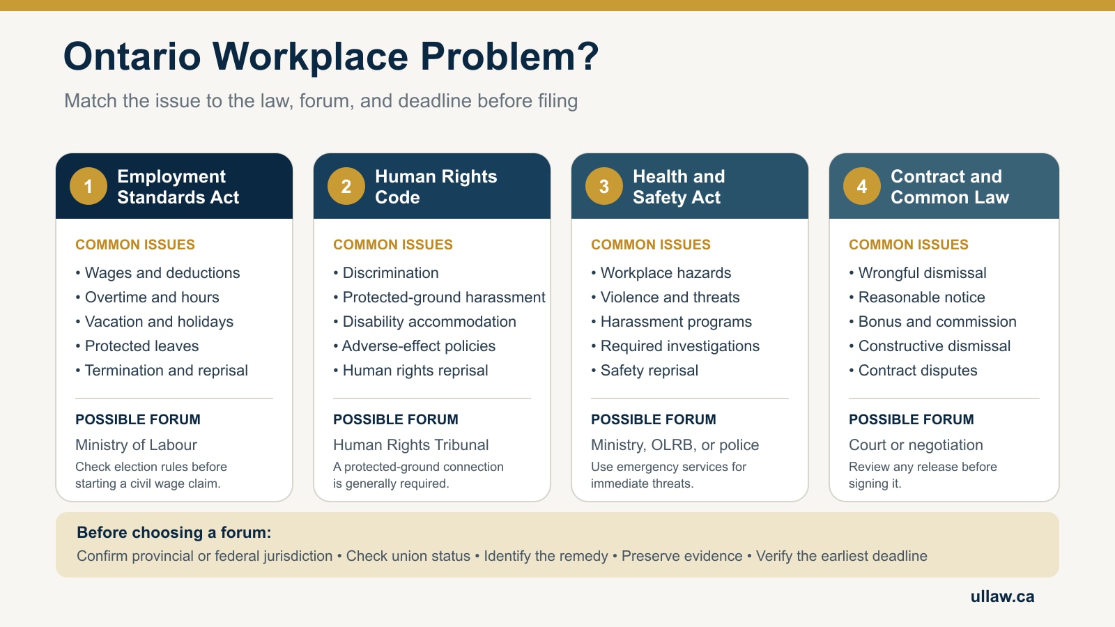 Ontario workplace issue map linking the ESA, Human Rights Code, OHSA, and contract claims to possible forums and deadline checks