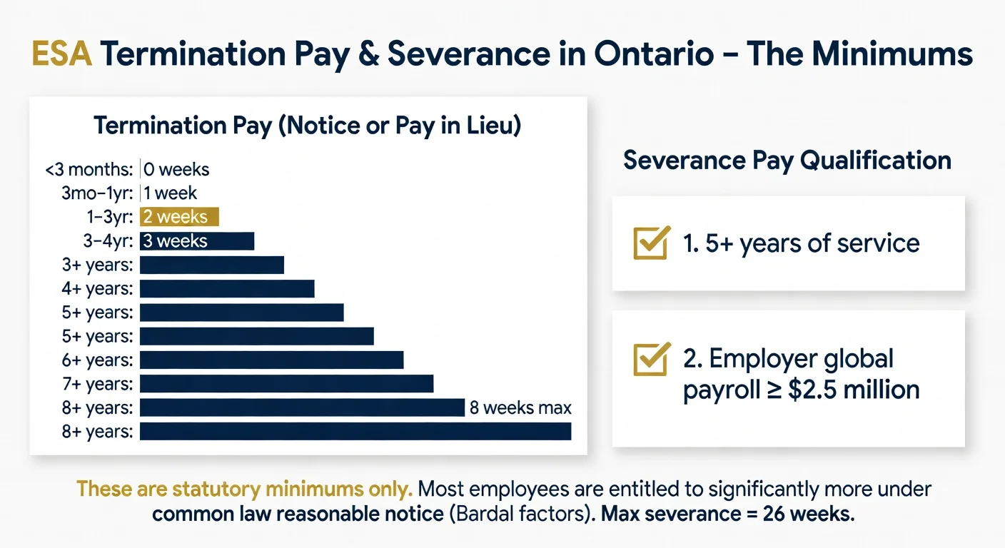Infographic summarizing Ontario ESA termination pay and severance minimums: stepped chart of termination notice/pay by years of service (capped at 8 weeks), plus the two-part test to qualify for additional severance pay (5+ years service AND employer payroll of $2.5M+). Note that these are only the statutory floor—common law often provides far more.