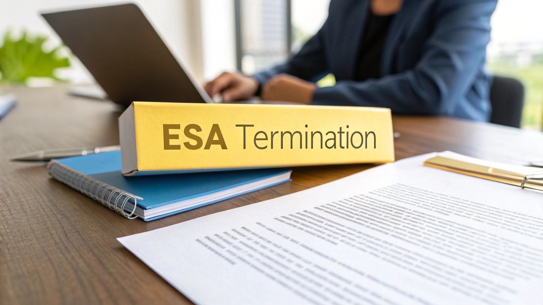 Employment Standards Act Termination: ESA Vs. Common Law