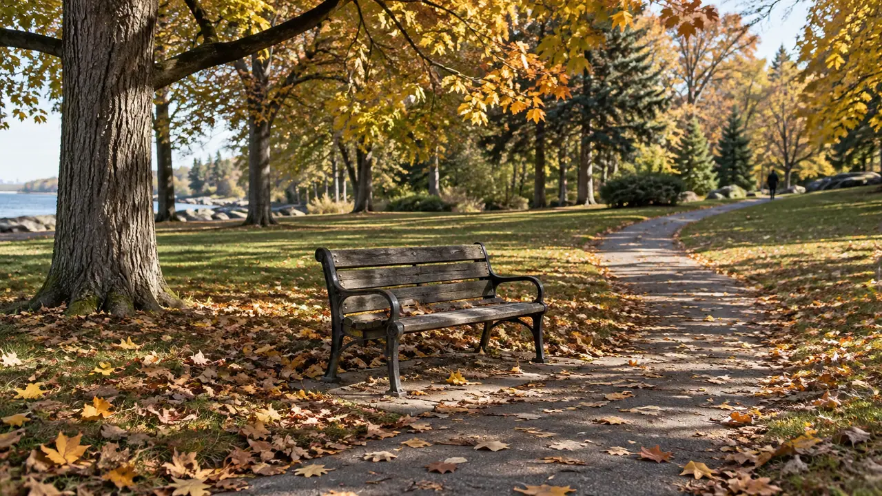 Etobicoke Sexual Assault Charges: Understanding Victim Rights in Ontario