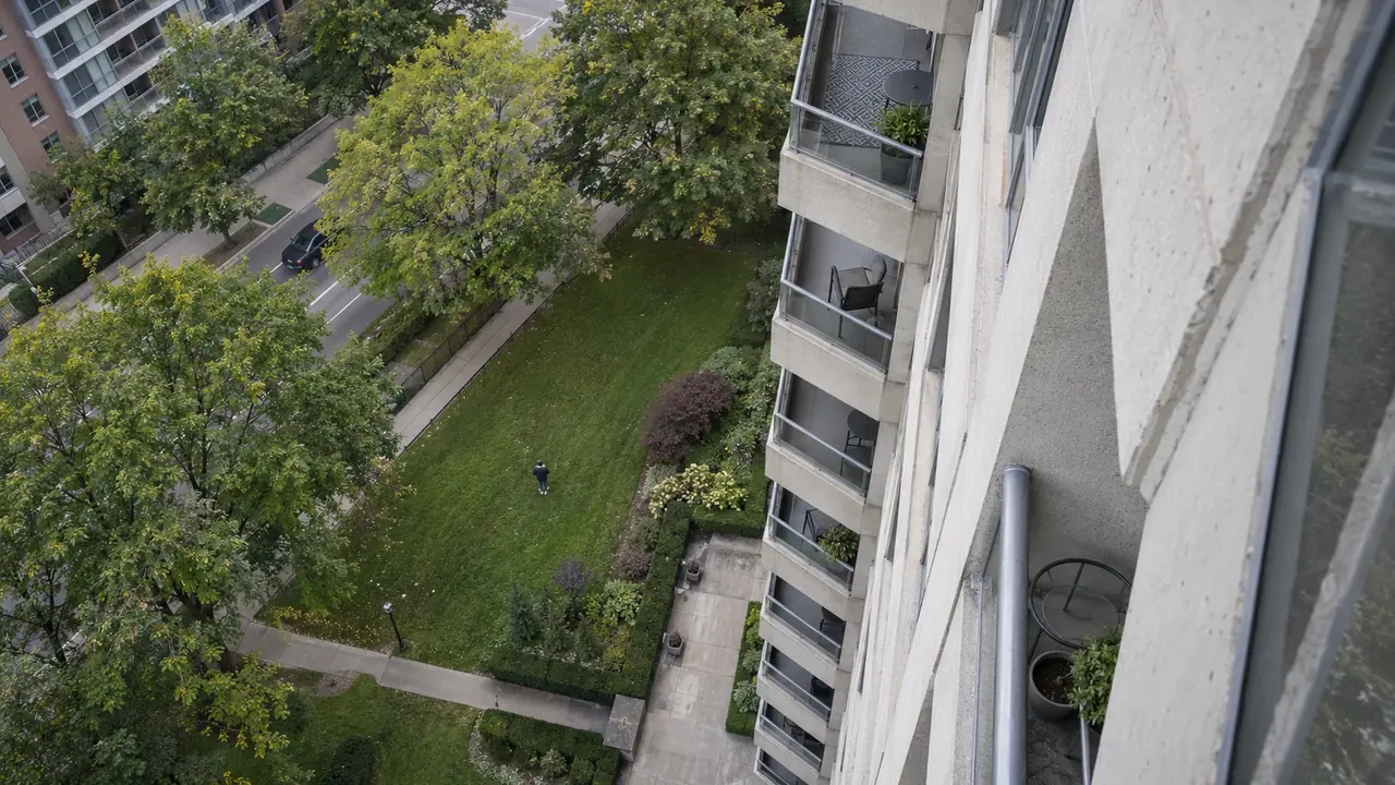 North York Highrise Window Death: Tenant Safety & RentSafeTO Concerns